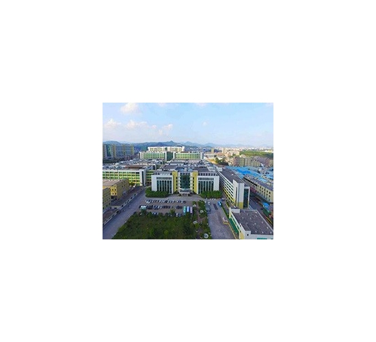 伯恩光學有限公司